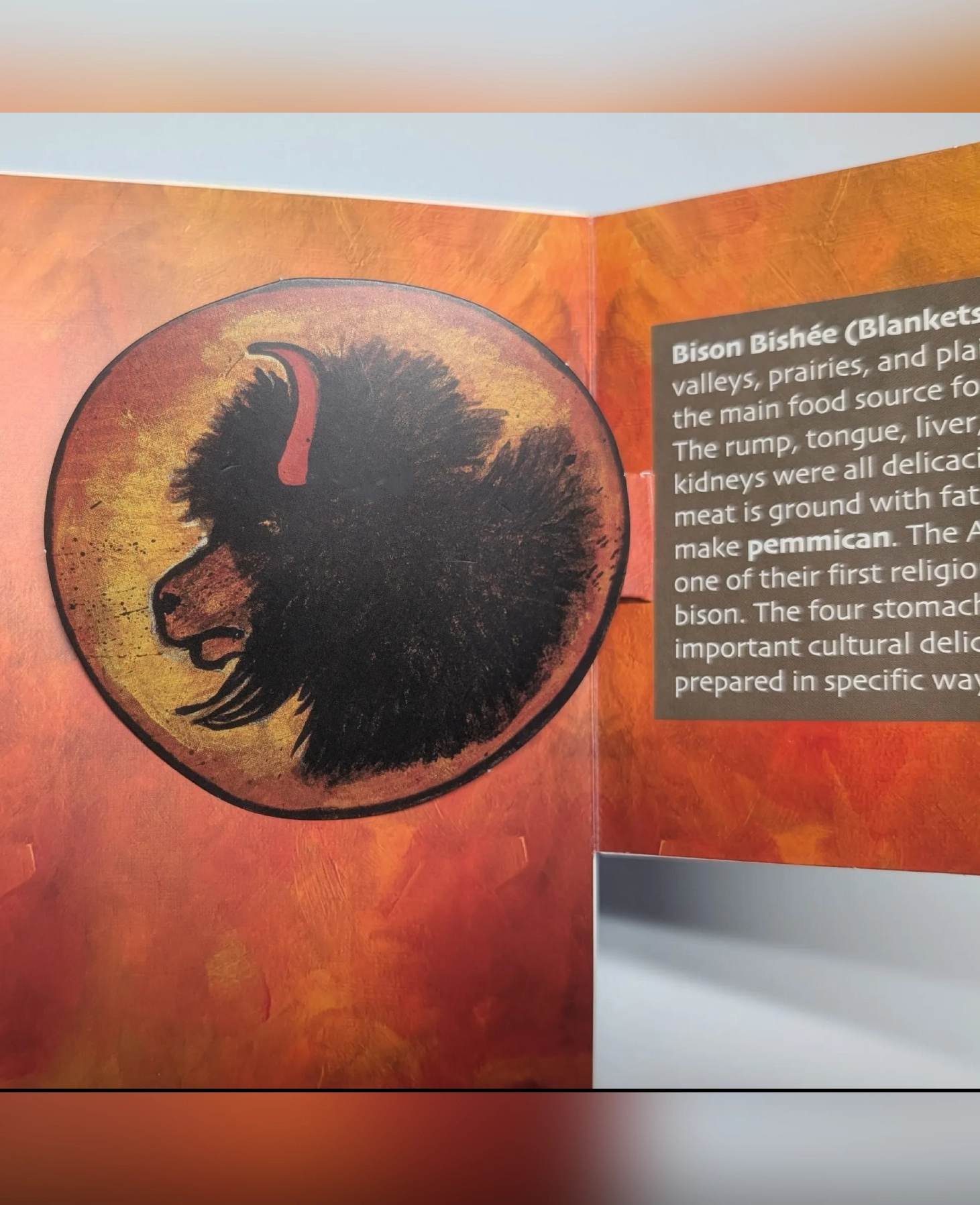 Silhouette of a buffalo head against an orange background.