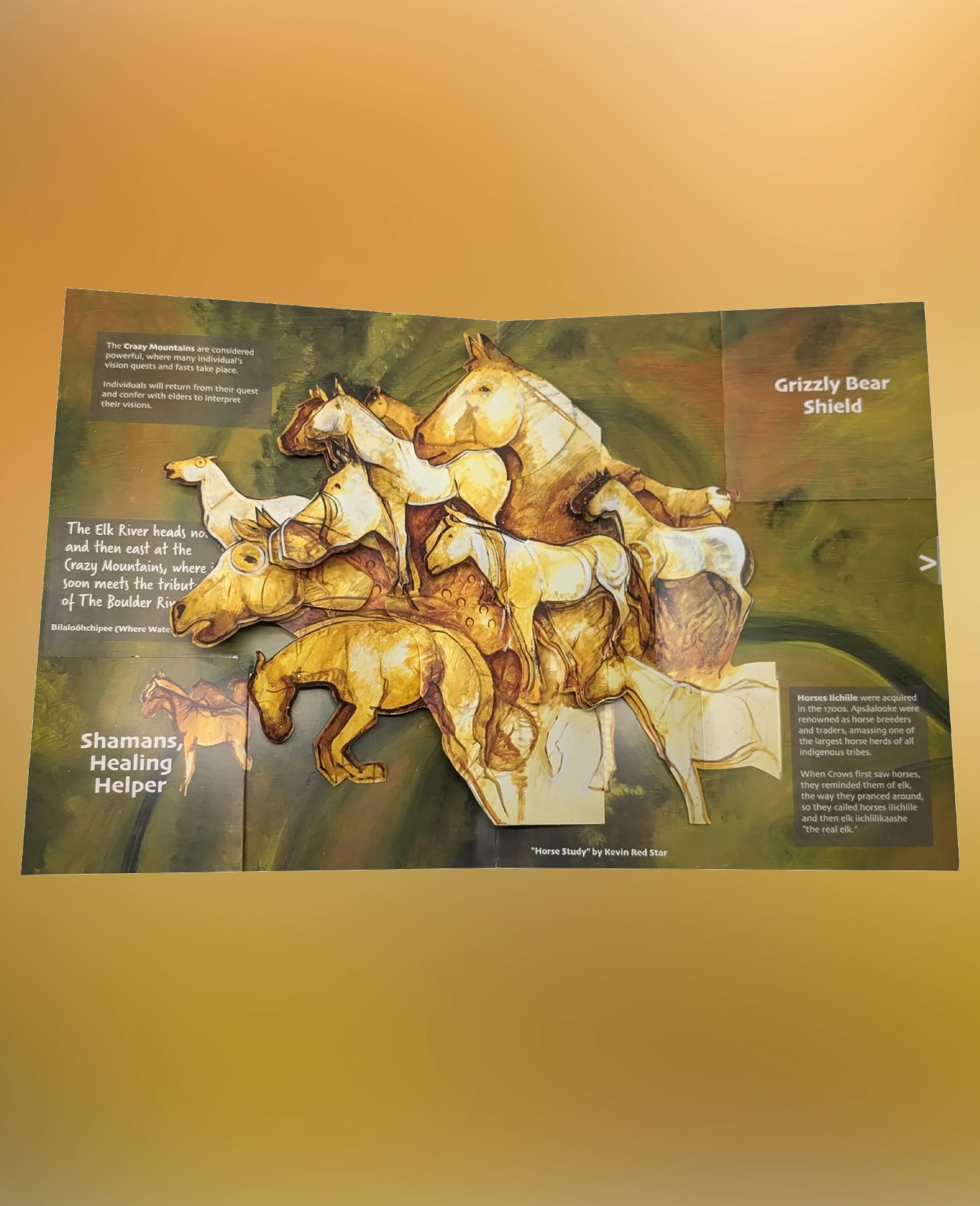 A detailed anatomical diagram of a dog's muscular system.