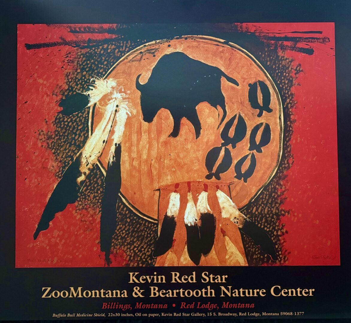 Painting of a buffalo bull on a medicine shield with feathers by Kevin Red Star.
